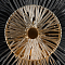 Бра Maytoni MOD007WL-01G